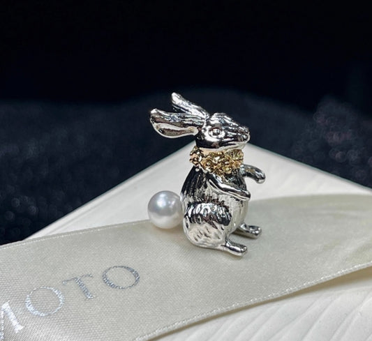 Peter Rabbit Brooch