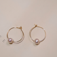 Near Round Freshwater Pearl Earrings